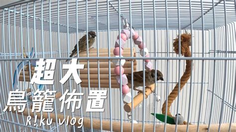 鳥籠佈置|阿米購